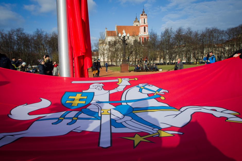 Prašo Seimo politinės valios dėl Vyčio Lukiškių aikštėje