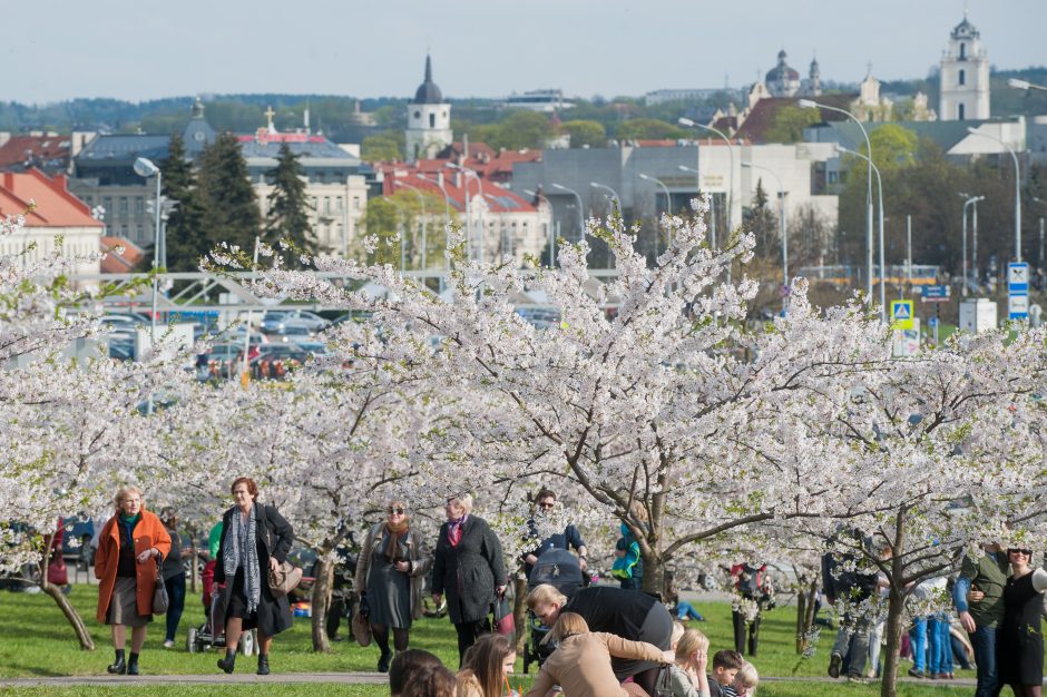 Savaitgalį sugrįš šiluma, deja, ji neužsitęs