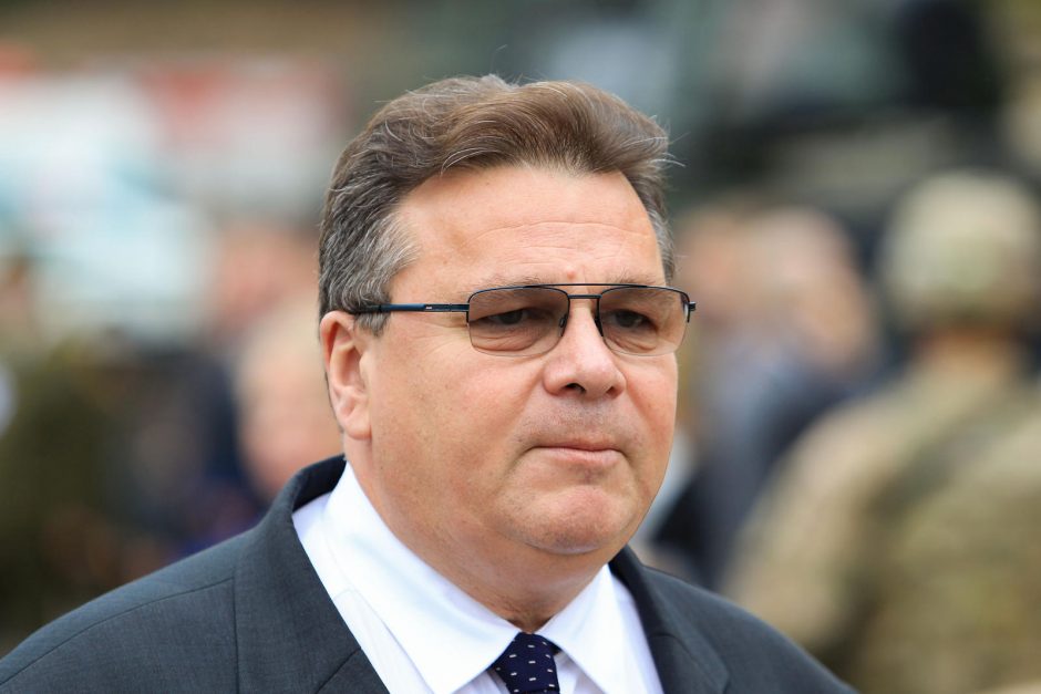 L. Linkevičius JAE dalyvavo saugumo forume