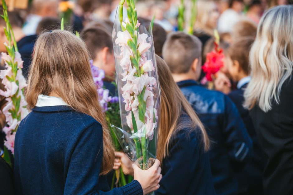 Lenkišką A. Mickevičiaus gimnaziją Vilniuje norima padaryti dvylikamete