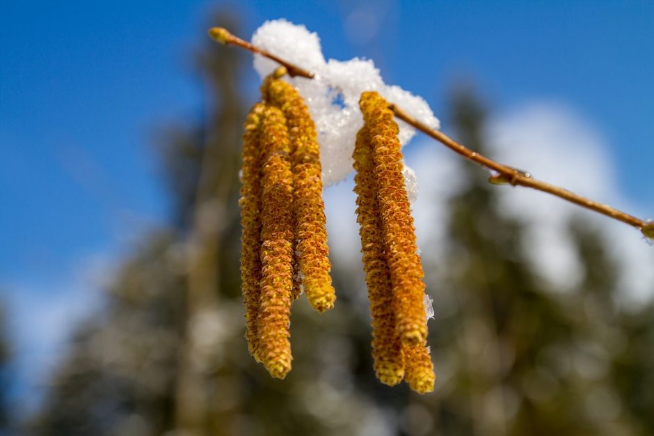 Orai: pavasarinę nuotaiką pagadins sugrįžusi žiema