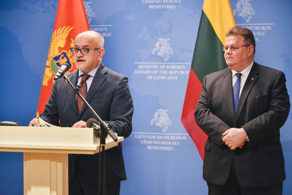 L. Linkevičius: integracijos į ES procesai vyksta ne pagal kalendorių