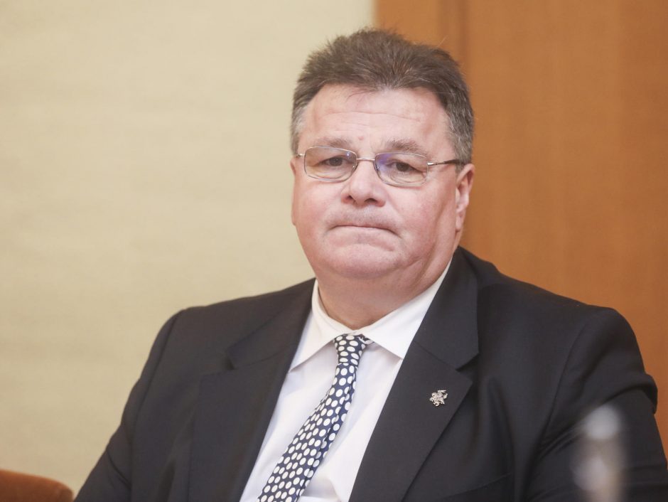 L. Linkevičius: NATO orlaiviu bus atgabenta medicinos priemonių siunta