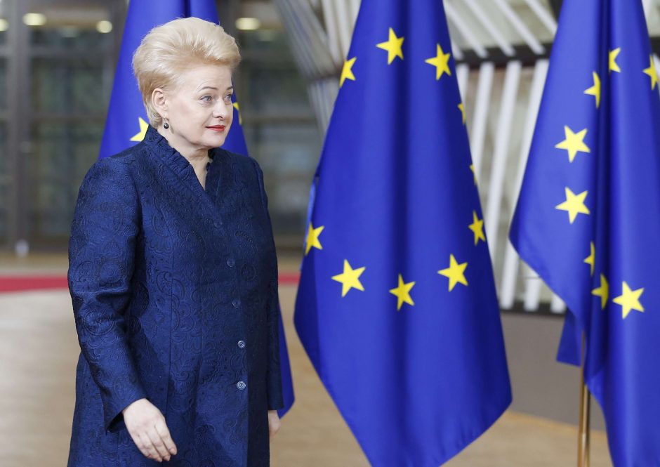 D. Grybauskaitė pasigenda konkretumo siūlant sudaryti euro zonos biudžetą