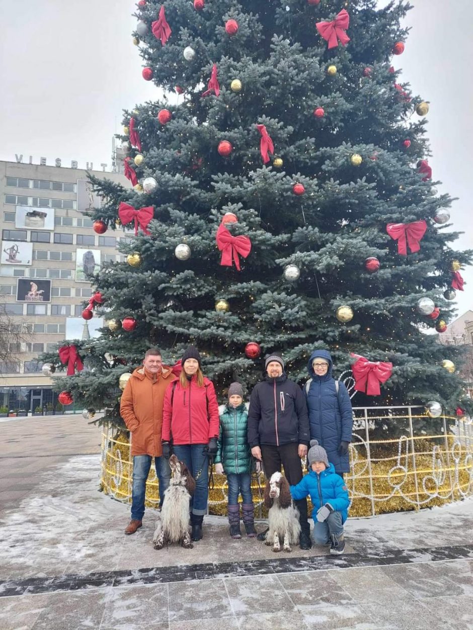 Prie Kalėdų eglių – spanielių ir jų šeimininkų linksmybės