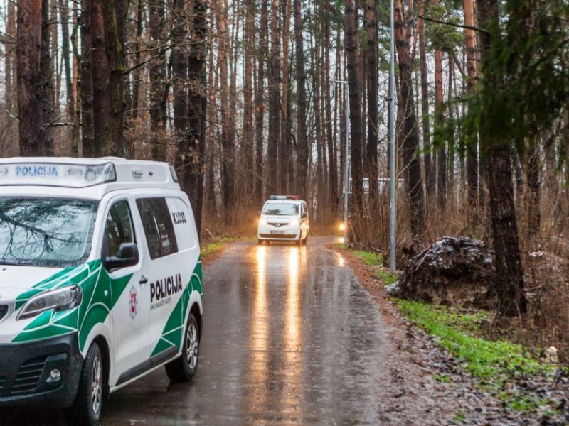 Sugyventinę išprievartavęs ir peiliu subadęs vyras sulaukė teismo sprendimo: kalės vienuolika metų