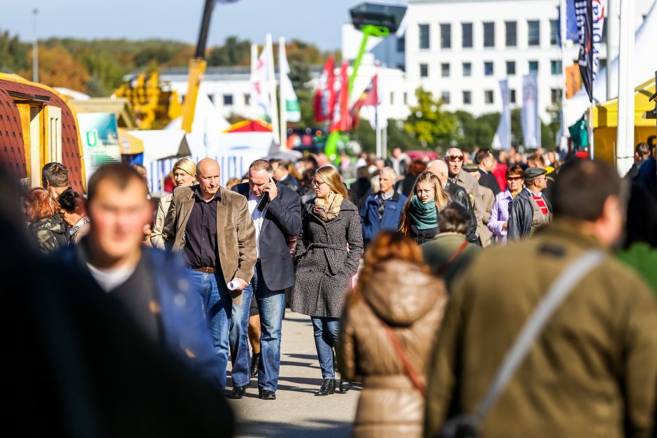 Prasidėjo paroda, kuria tikimasi sumušti pernykštį rekordą