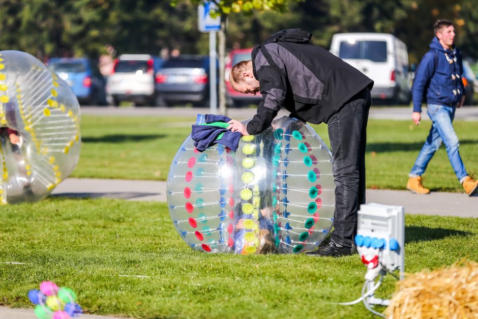 Prasidėjo paroda, kuria tikimasi sumušti pernykštį rekordą