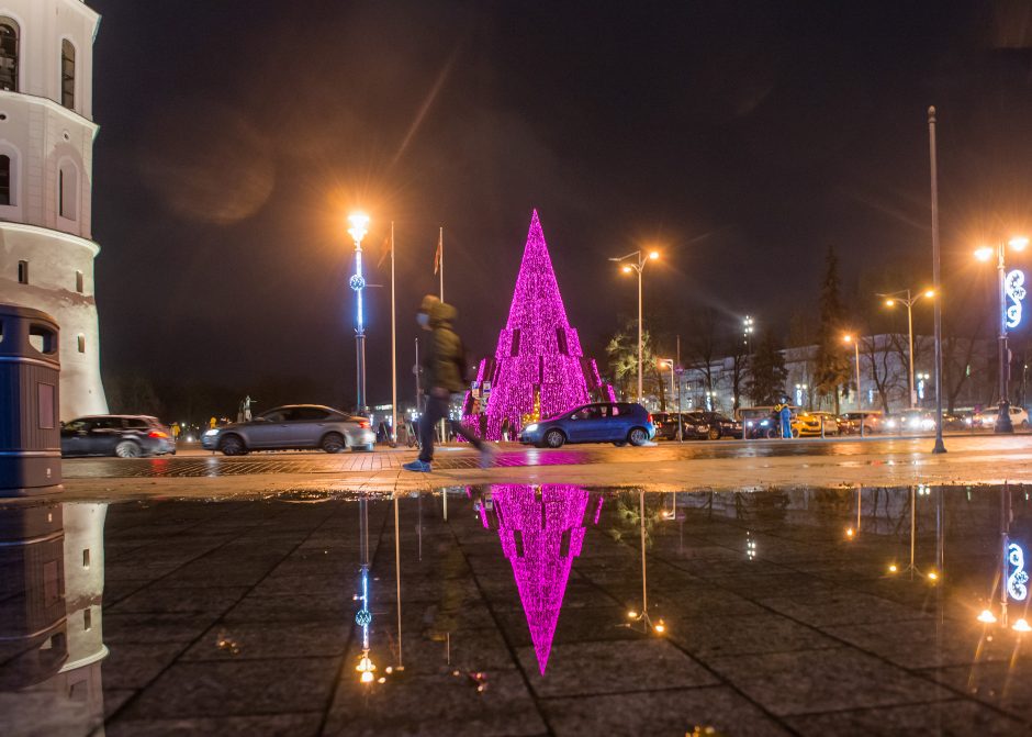 Vilniaus Kalėdų eglutės pripažinimo gražiausia dar teks palaukti