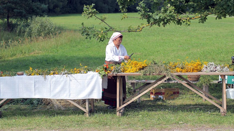 Žolinės šventimas Rumšiškėse