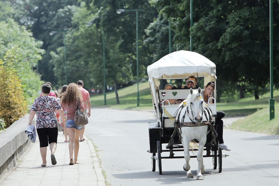 Vasara atsisveikins maloniai