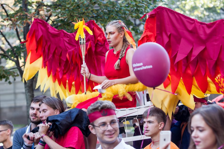 VU studentai nepaliko abejingų: fakultetai vienas kitą lenkė išradingumu