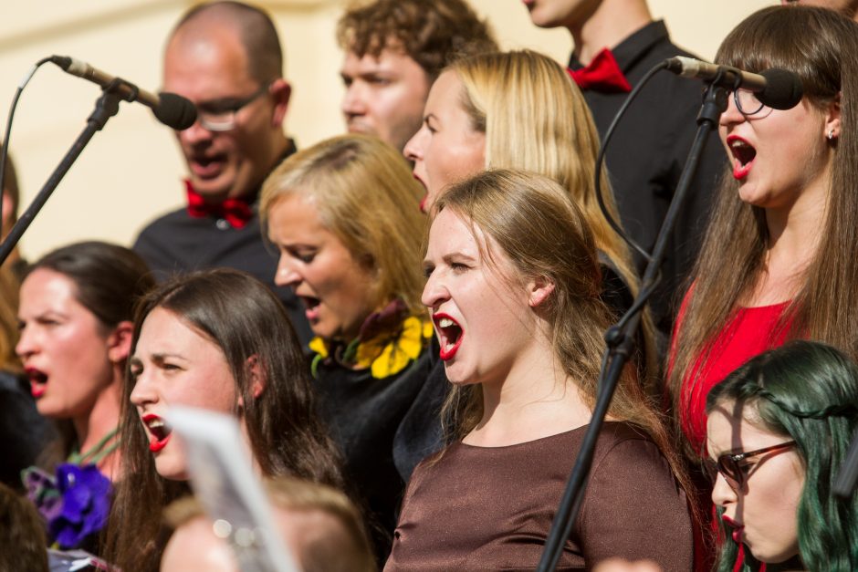 VU studentai nepaliko abejingų: fakultetai vienas kitą lenkė išradingumu