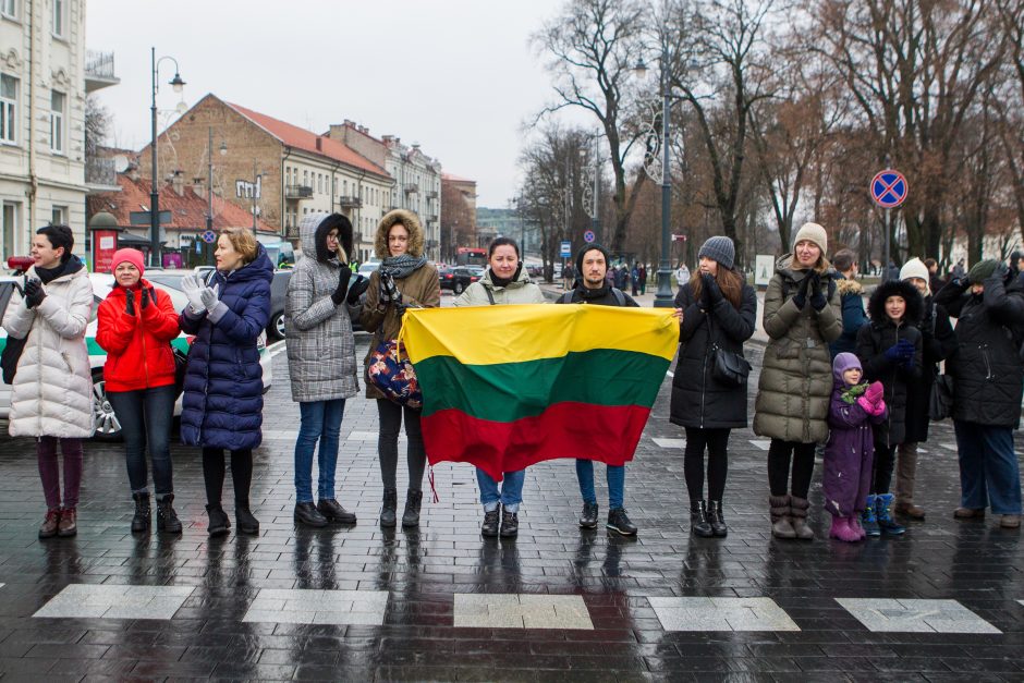 A. Tapinas pasidalijo įspūdžiais po mitingo: ėjome kaip dvi bangos