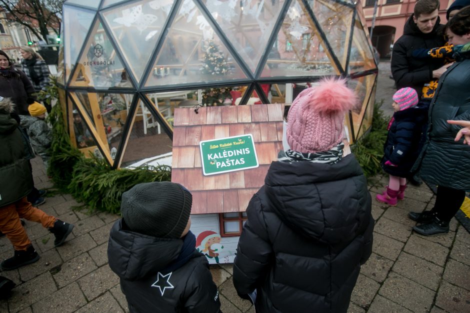 Sekmadienio dieną kauniečiai apžiūrinėja Kalėdų eglę