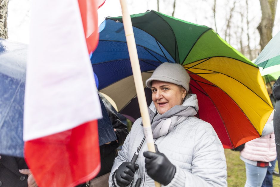 Protestuotojai reikalavo atšaukti Trakų rajono švietimo įstaigų pertvarką