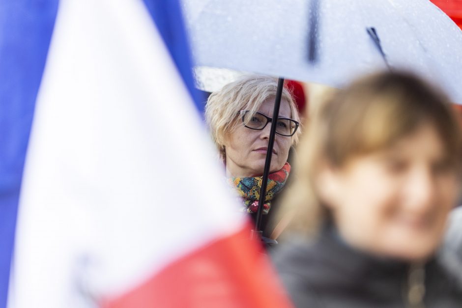 Protestuotojai reikalavo atšaukti Trakų rajono švietimo įstaigų pertvarką