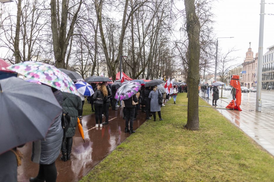 Protestuotojai reikalavo atšaukti Trakų rajono švietimo įstaigų pertvarką