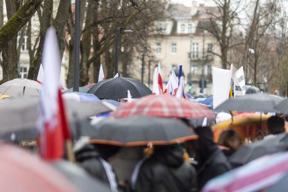 Protestuotojai reikalavo atšaukti Trakų rajono švietimo įstaigų pertvarką