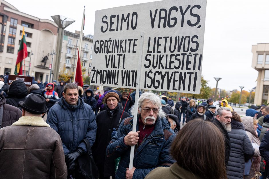 Mitinge dėl NT mokesčio – keli tūkstančiai žmonių: plešia kaip Naujininkų narkomanas