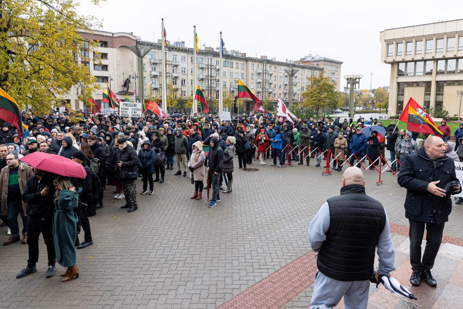 Mitinge dėl NT mokesčio – keli tūkstančiai žmonių: plešia kaip Naujininkų narkomanas