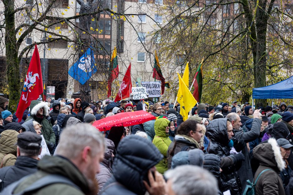 Mitinge dėl NT mokesčio – keli tūkstančiai žmonių: plešia kaip Naujininkų narkomanas