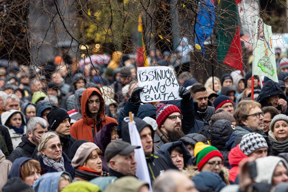 Mitinge dėl NT mokesčio – keli tūkstančiai žmonių: plešia kaip Naujininkų narkomanas