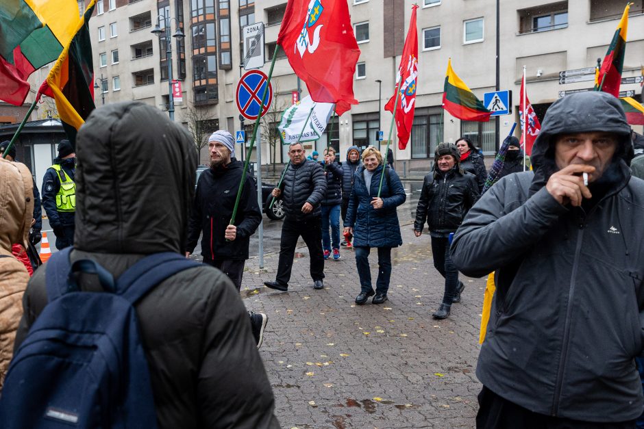 Mitinge dėl NT mokesčio – keli tūkstančiai žmonių: plešia kaip Naujininkų narkomanas