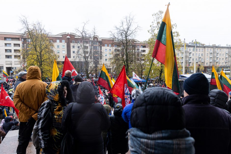 Mitinge dėl NT mokesčio – keli tūkstančiai žmonių: plešia kaip Naujininkų narkomanas