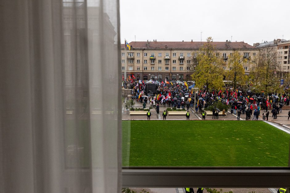 Mitinge dėl NT mokesčio – keli tūkstančiai žmonių: plešia kaip Naujininkų narkomanas