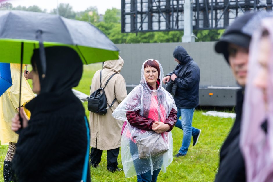 Šeimų sąjūdžio protestas prie Seimo