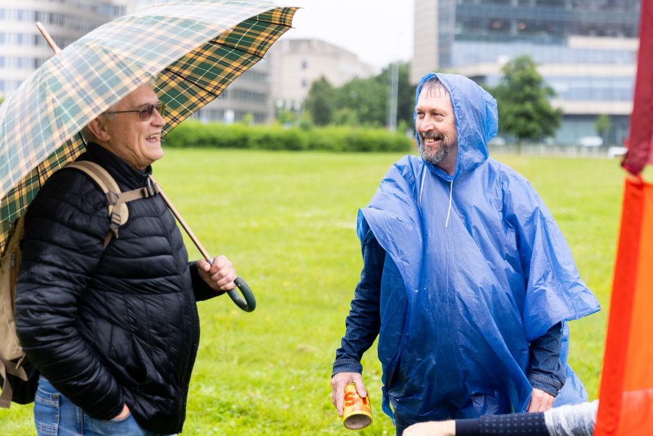 Šeimų sąjūdžio mitinge – ir Seimo nariai: protestuotojai piktinosi valdžios sprendimais