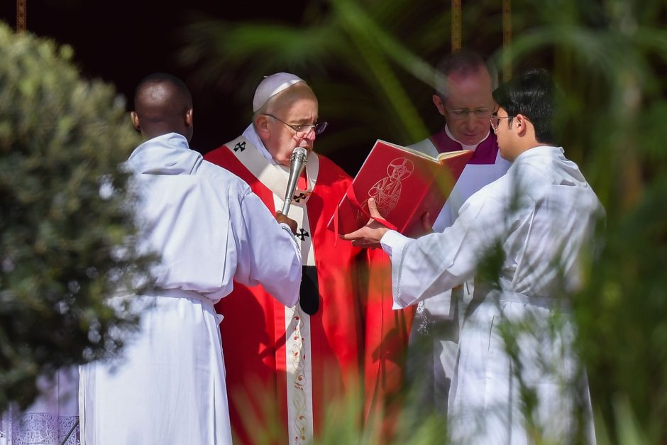 Popiežius Pranciškus palaimino palmių šakeles