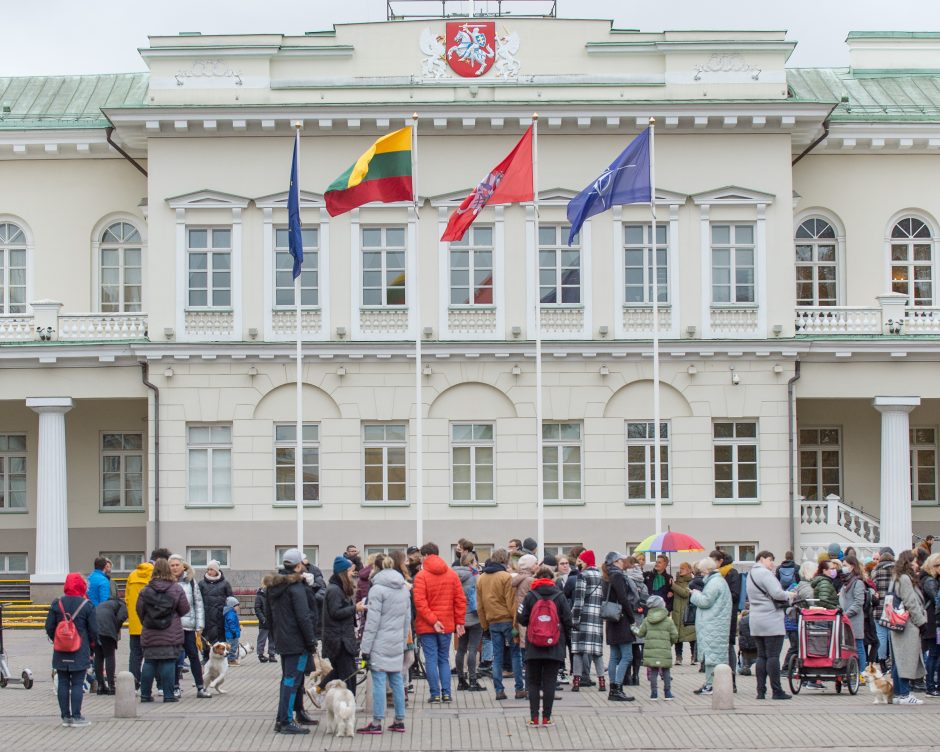 Renginys „Mamos už mamas! Palaikymo valanda Rasai Račienei“