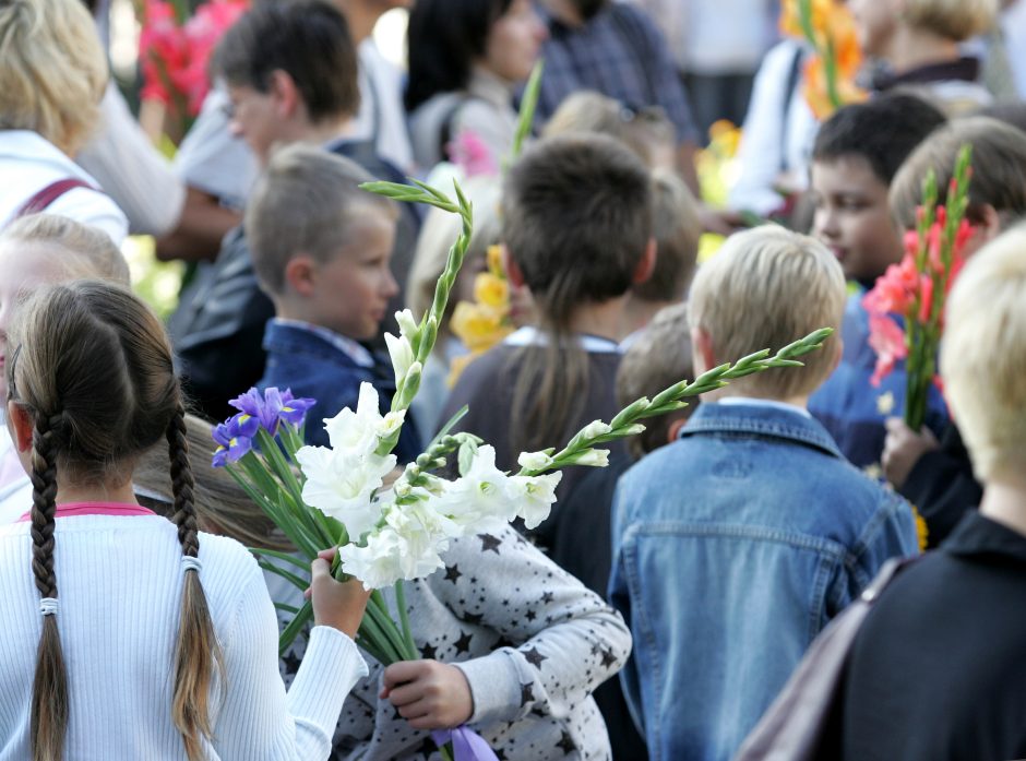 Vyriausybė detalizavo, kaip bus pereinama nuo mokinio prie klasės krepšelio