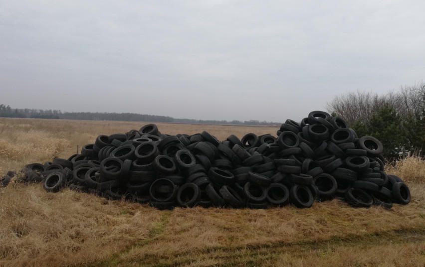 Užterštoms teritorijoms tvarkyti Klaipėdoje – daugiau lėšų