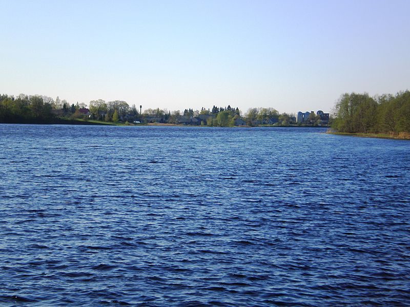 Baisogalos tvenkinyje rengiamasi įrengti vandens pramogų parką