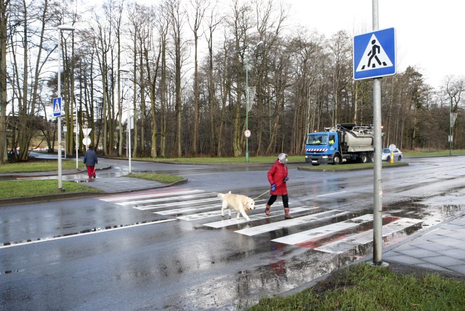 Klaipėdiečių prašymų įgyvendinti nežada: saugesnės perėjos nebus