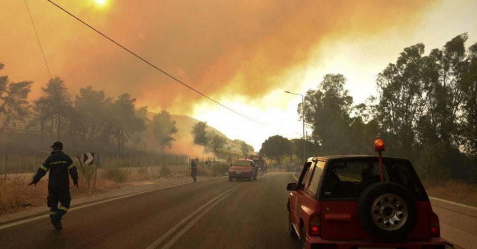 Graikų ugniagesiai kovoja su miško gaisru