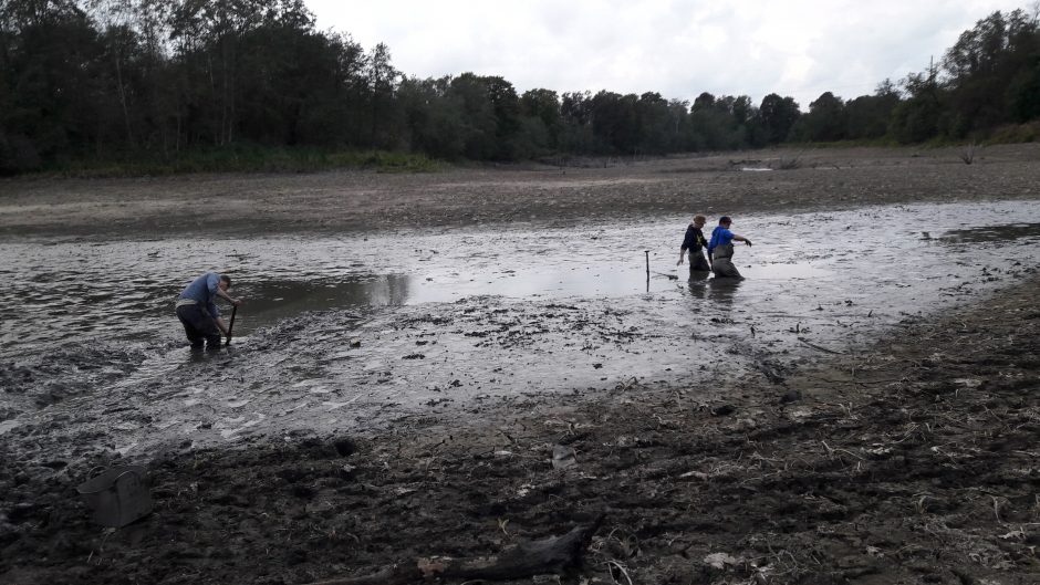 Žmonės patys gelbsti žuvis Laukžemių tvenkinyje