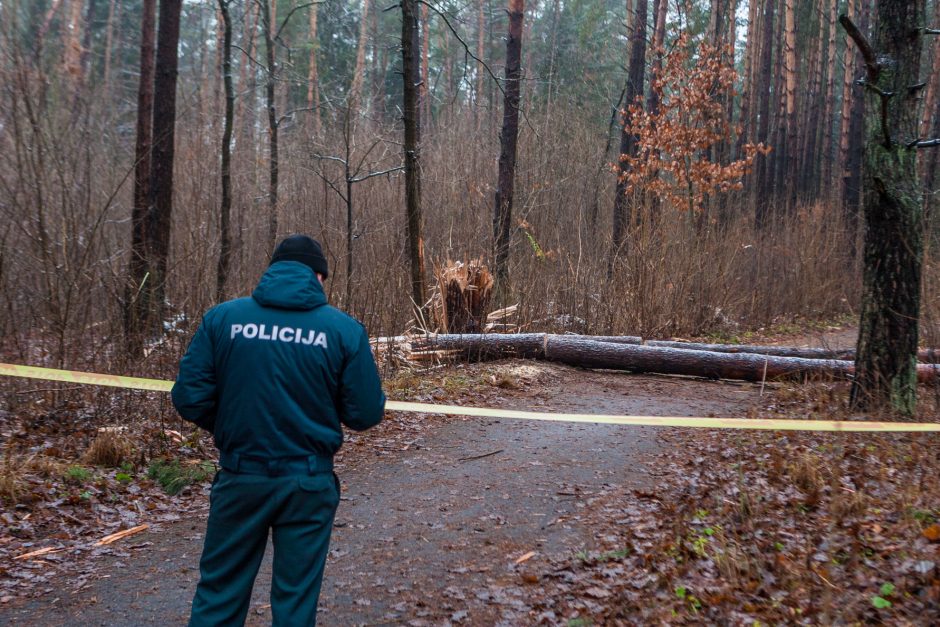 Po girininko radinio į Kleboniškio mišką sugužėjo specialiosios tarnybos 