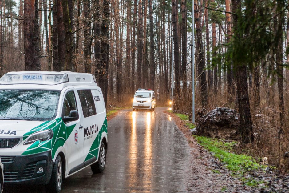 Kas pavertė Kleboniškio mišką sprogdinimų poligonu?