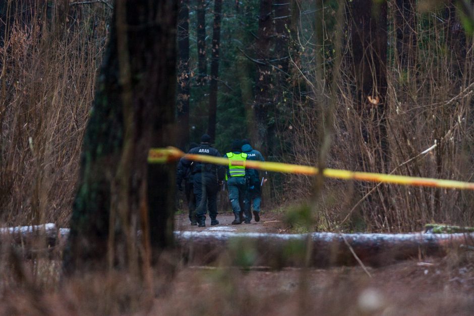 Kas pavertė Kleboniškio mišką sprogdinimų poligonu?