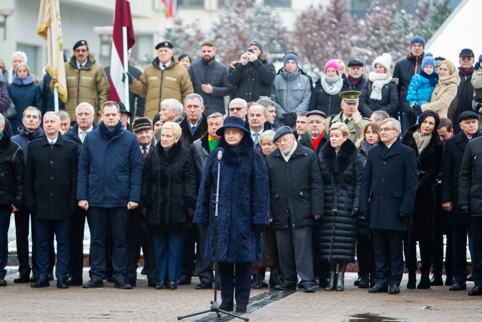 Valstybės vėliavos pakėlimo ceremonija Nepriklausomybės aikštėje