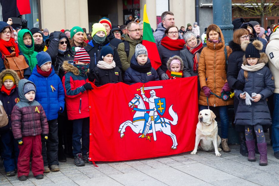 Šventinis trijų Baltijos valstybių pakėlimo ceremonija ir trispalvės nešimas 