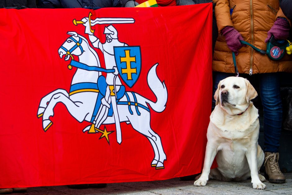 Šventinis trijų Baltijos valstybių pakėlimo ceremonija ir trispalvės nešimas 