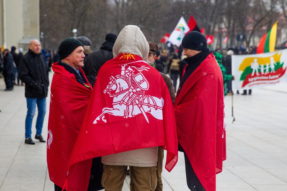 Šventinis trijų Baltijos valstybių pakėlimo ceremonija ir trispalvės nešimas 