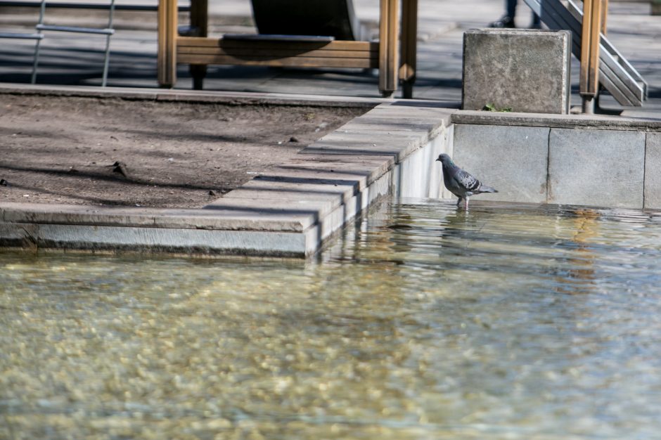 Fontanų sezonas Kaune prasidėjo, tačiau veiks ne visi