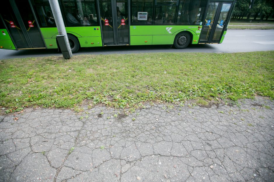 Beda pirštu į Dainavos rajono piktžaizdes: jau darosi nebejuokinga