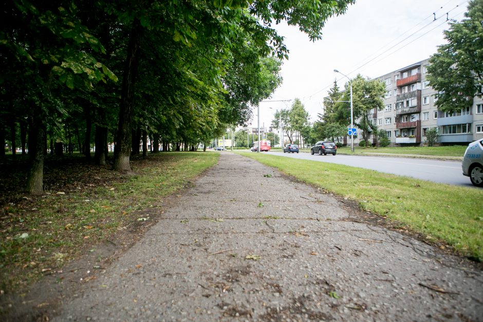 Beda pirštu į Dainavos rajono piktžaizdes: jau darosi nebejuokinga